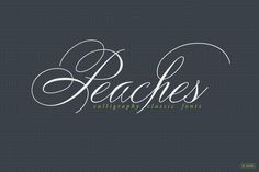 the words beaches are written in cursive handwriting on a dark background with green accents