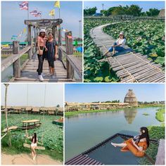 people sitting and standing on wooden planks in the middle of water with green plants