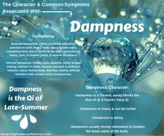 There are 6 pathogenic factors in TCM, here is a look at "Dampness". Dampness Chinese Medicine, Dampness Chinese Medicine Diet, Tcm Dampness, Chi Nei Tsang, Chinese Healing, Qi Deficiency, Zen Flower