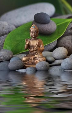 a buddha statue sitting on top of a pile of rocks next to a body of water