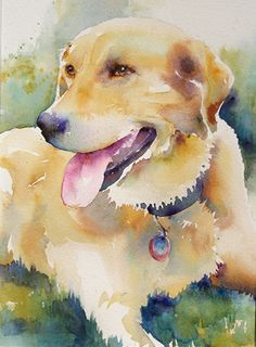 a watercolor painting of a golden retriever dog with his tongue hanging out, resting in the grass