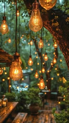 several light bulbs hanging from a tree in the middle of a patio with wooden tables and benches