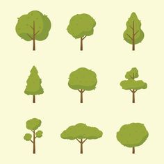 different types of trees on a white background