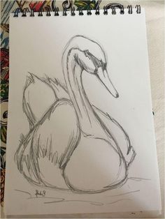 a drawing of a swan sitting on the ground