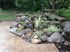 a garden with rocks, plants and water features in the center of the area that is surrounded by trees