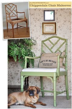 a dog laying on the floor next to a green chair with a cushion and pillow