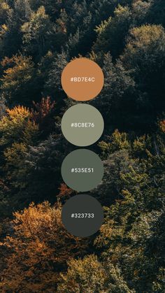 Green Orange Color Palette Bedrooms, Forest Tones Colour Palettes, Black Green Orange Color Palette, Forest Colour Pallet, Camping Colour Palette, Rustic Forest Decor, Walnut And Green Color Palette, Forest Colour Scheme, Forest Color Pallette