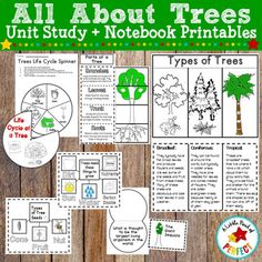 Tree Activities For Preschool, Trees Activities, Tree Unit, Tree Life Cycle, Plant Notebook, Craft Tree, Pre-k Science, Fall Science, Trees For Kids