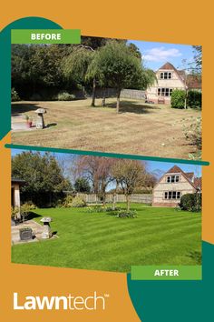 before and after photos of lawn mowing