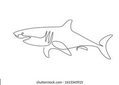 the outline of a shark on a white background