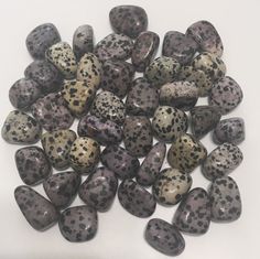 Dalmatian Jasper Small Tumbled Stone, Healing Stone, Healing Crystal,Chakra Stone, Spiritual Stone #RedJasper #TumbledStones #Metaphysical #Jasper #Crystal #HealingCrystals #Reiki #Meditation #HealingStones #DalmatianJasper Positive Intentions, Crystal Chakra, Reiki Meditation, Dalmatian Jasper, Thousand Oaks, Stone Healing, Gems And Crystals, Energy Stones, Gems Crystals