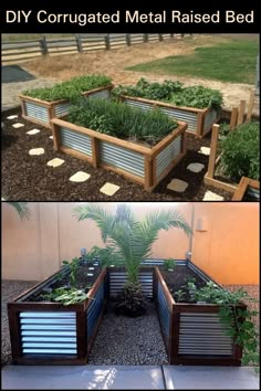 an outdoor garden with raised beds made out of corrugated metal and plants growing in them