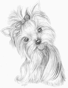 a drawing of a small dog with long hair