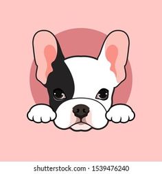 a cute little dog with big eyes peeking out from behind a pink circle on a pink background