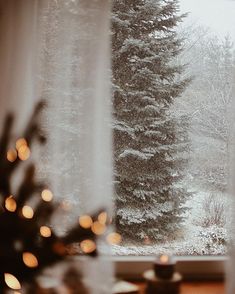 a window with some lights in front of it and a snow covered tree outside the window