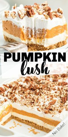 this pumpkin dessert has layers of whipped cream and pecans in the top layer, then topped with an orange custard