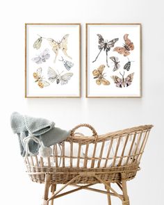 two framed butterflies are on the wall above a wicker basket