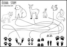 an animal story worksheet with animals and tracks to help kids learn how to draw