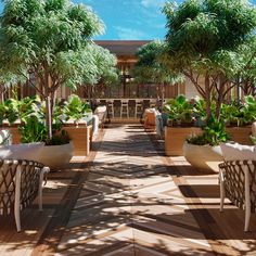 an artist's rendering of a patio with potted plants and chairs on it