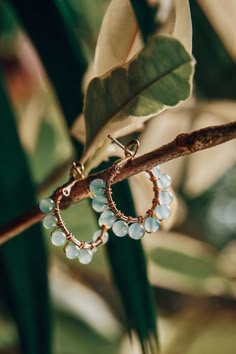 a pair of hoop earrings hanging from a tree branch with leaves in the back ground