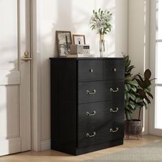 a black chest of drawers sitting in front of a white door next to a potted plant