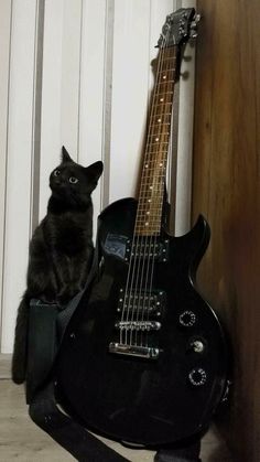 a black cat sitting on top of a guitar case next to a wall with white paneling