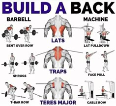 a poster showing how to build a back with the words,'build a back barbell