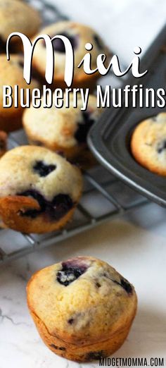 blueberry muffins are cooling on a rack with the words, mijat blueberry muffins