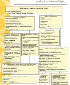 a flow diagram with the following steps to create an information flow chart for each topic