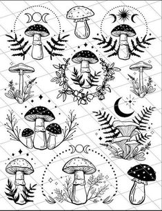 various mushrooms and plants in black ink on a white background with the moon, stars and leaves