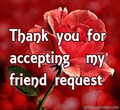 a red rose with the words thank you for accepting my friend request