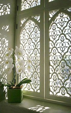 a potted plant sitting in front of a window covered in filigrees