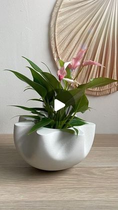 a plant in a white vase sitting on a table next to a wall hanging with a circular mirror behind it