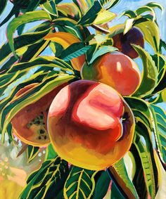 an oil painting of peaches on a tree branch