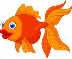 an orange fish with big eyes on a white background stock photo 547982