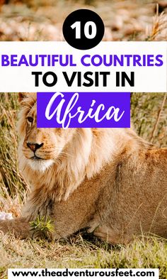 a lion sitting in the grass with text overlay reading 10 beautiful countries to visit in africa