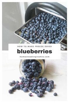 blueberries in a jar with the words how to make freeze dried blueberries