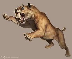 The Smilodon, or simply Sabertooth, is one of the Creatures in ARK: Survival Evolved. This section is intended to be an exact copy of what the survivor Helena Walker, the author of the dossiers, has written. There may be some discrepancies between this text and the in-game creature. These large...