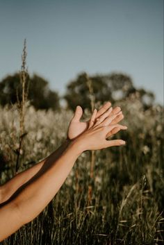 a person reaching out their arm to catch a frisbee in a field full of tall grass