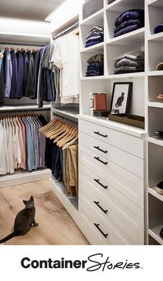 a cat sitting on the floor in front of a closet full of shirts and pants