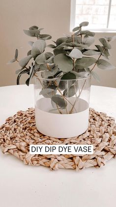 a plant in a glass vase sitting on top of a table with the words diy dip dye vase