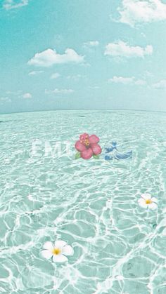 two flowers floating in the water on top of a sandy beach with blue sky and clouds