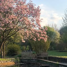 a small pond in the middle of a park with trees and flowers on either side