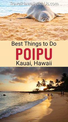 the best things to do in popu, kauai, and hawai