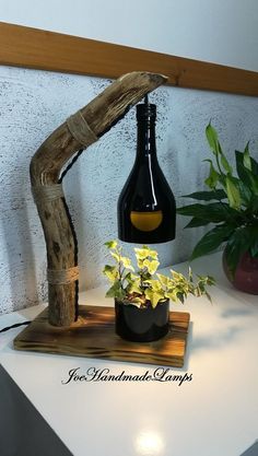 a wooden table topped with a bottle and plant