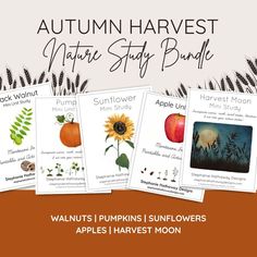 the autumn harvest study bundle includes four books