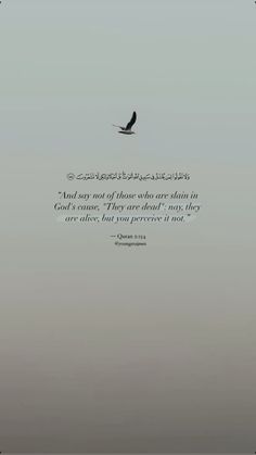 a bird flying in the sky with an arabic quote