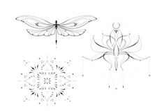 four different types of wings on a white background, each with an intricate design in the middle