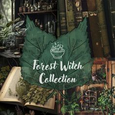 the forest with collection sign is surrounded by books and plants