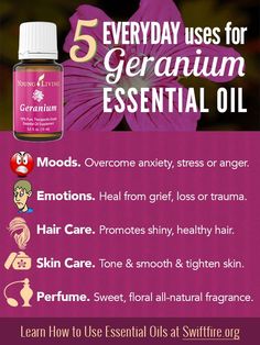 Essential Oils Geranium, Essential Oils Guide, Yl Essential Oils, Geranium Oil, Living Essentials Oils, Geranium Essential Oil, Healing Oils